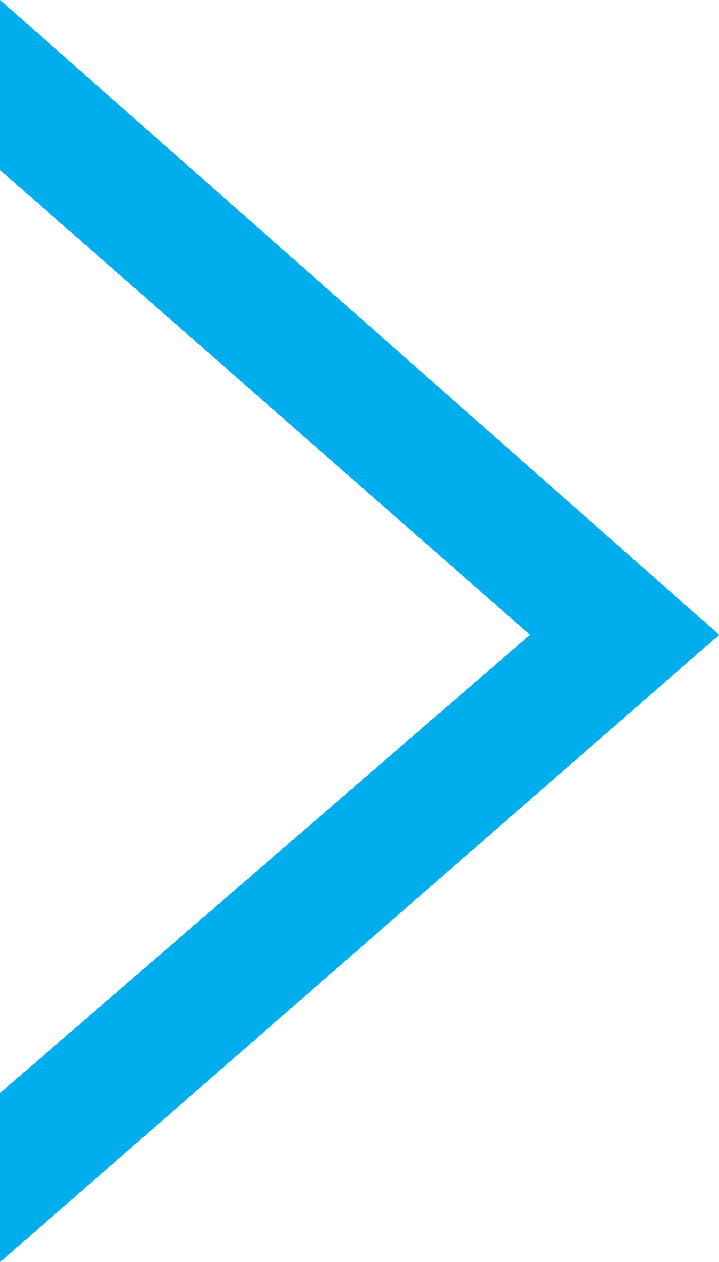 blue angle - Plexus Leadership | Leadership Consulting Training and Coaching