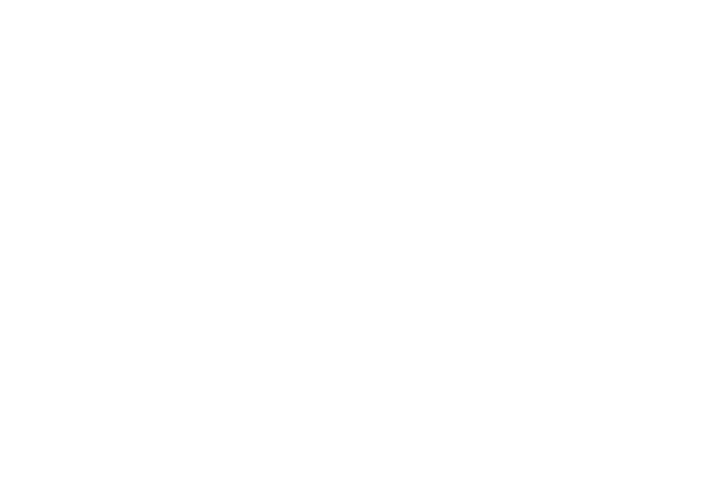 triangles full - Plexus Leadership | Leadership Consulting Training and Coaching