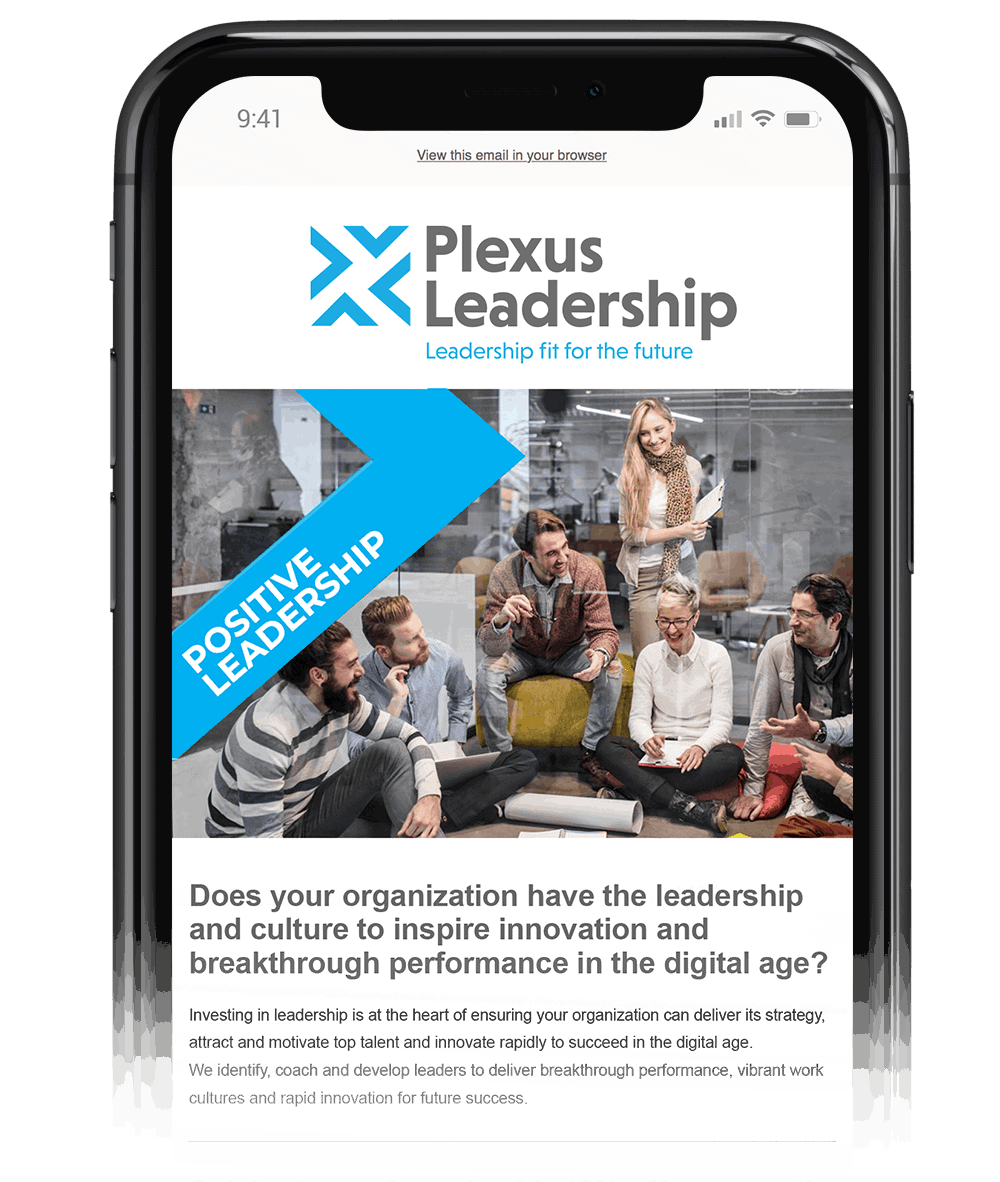 Insights plexus newsletter - Insights