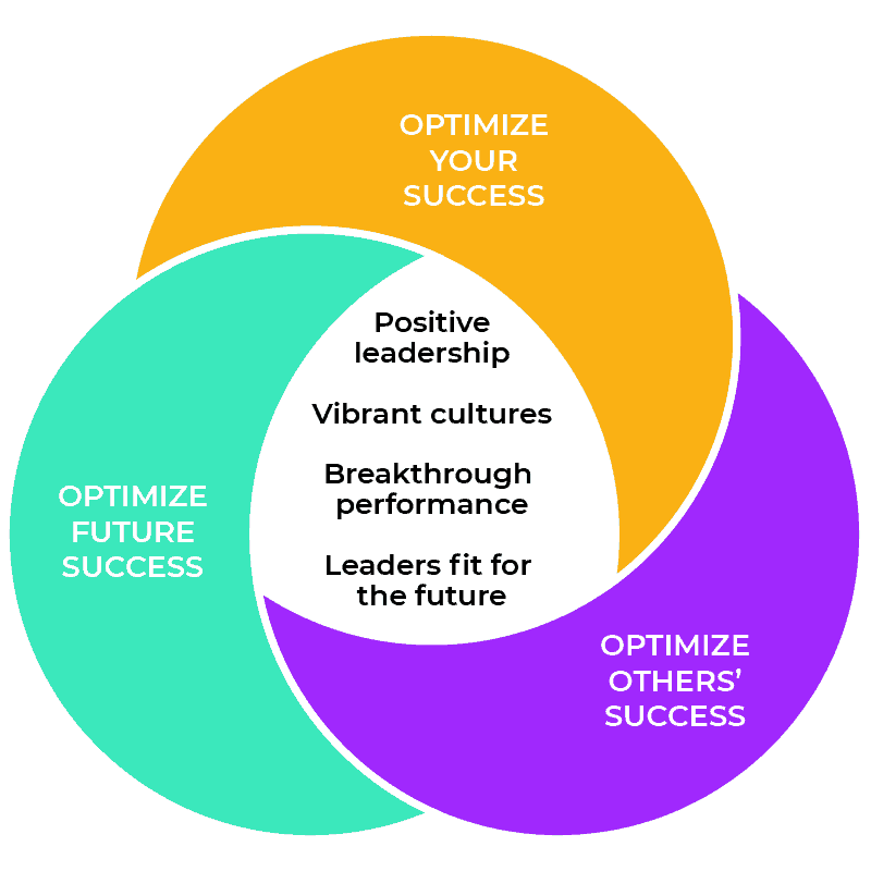 Our Solutions leadership diag rev - Our Solutions