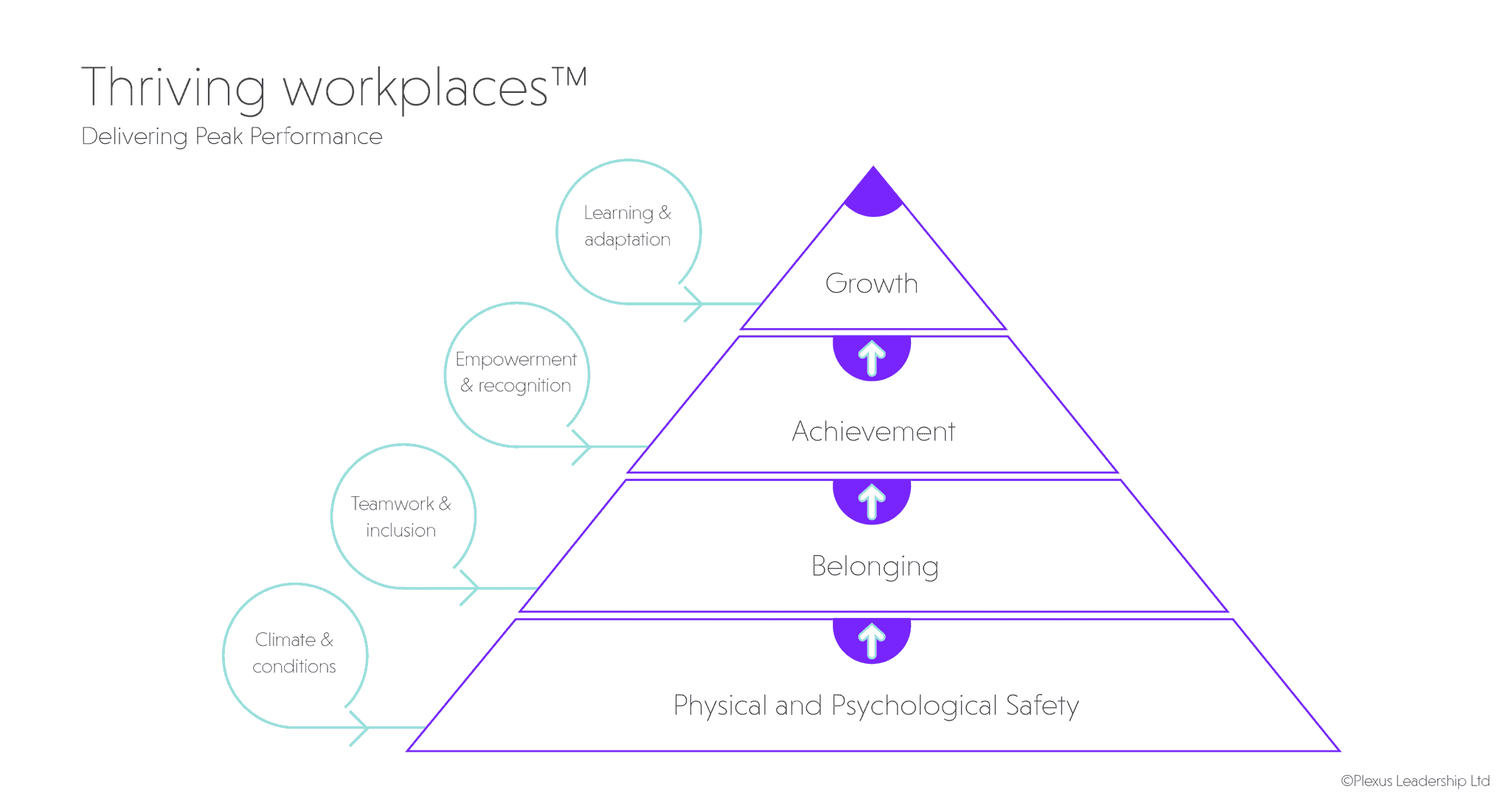 7 Key Leadership Roles and How to Thrive in Them