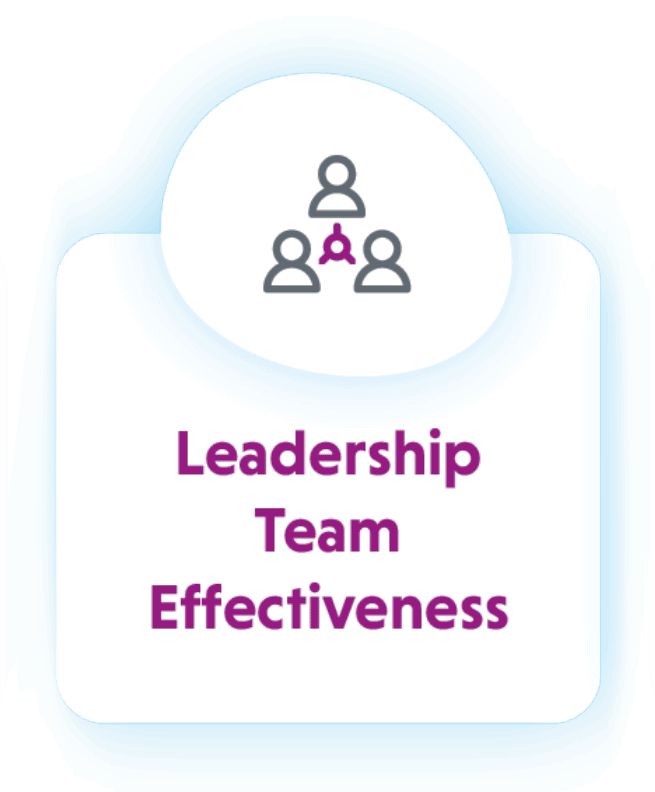 plexus leadership effectiveness